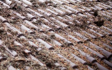 Letwell roof cleaning companies